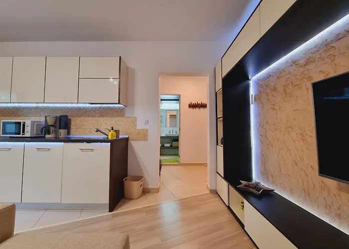 Little Appartement Boekarest